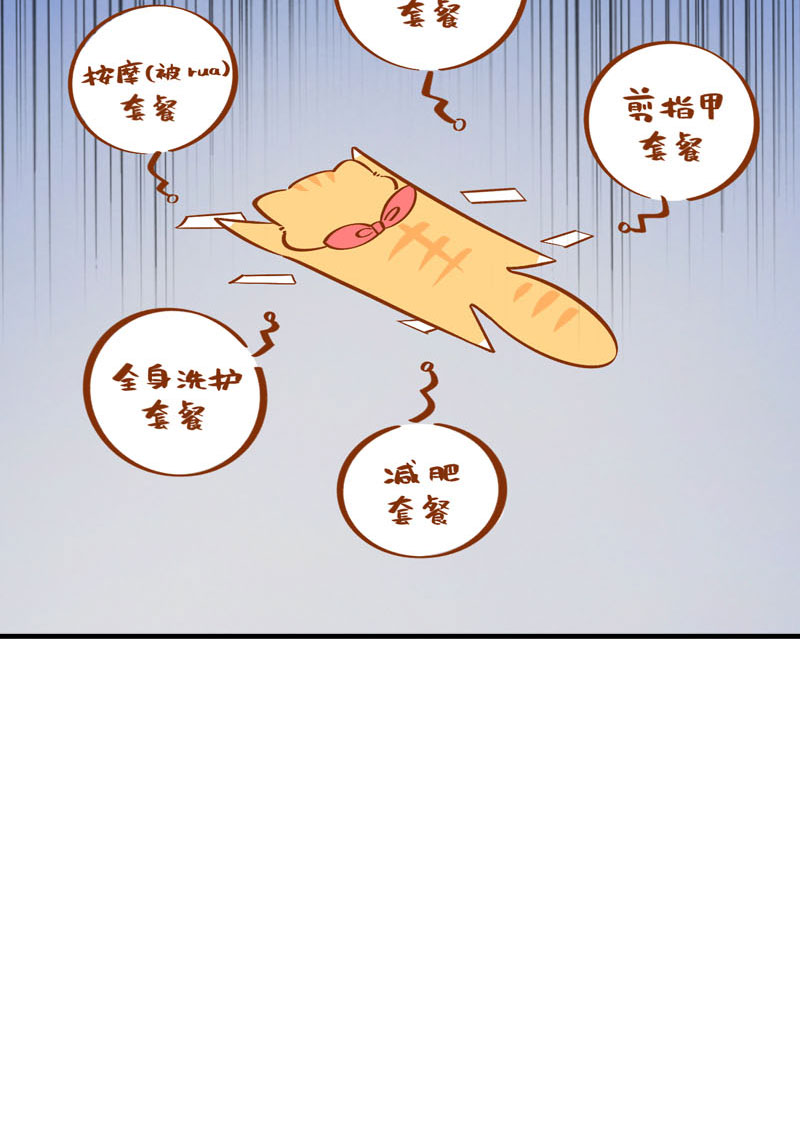 第38话 抽个盲盒10