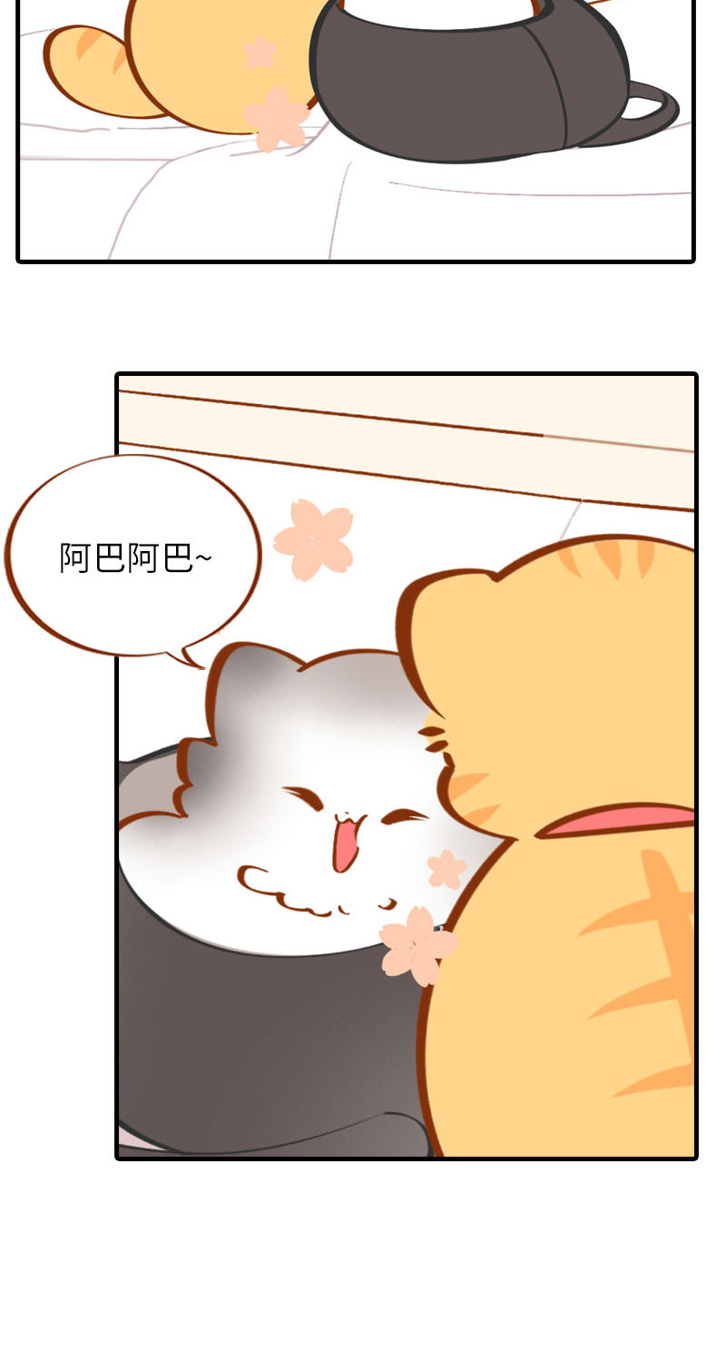 第36话 橘子！地位不保？！5
