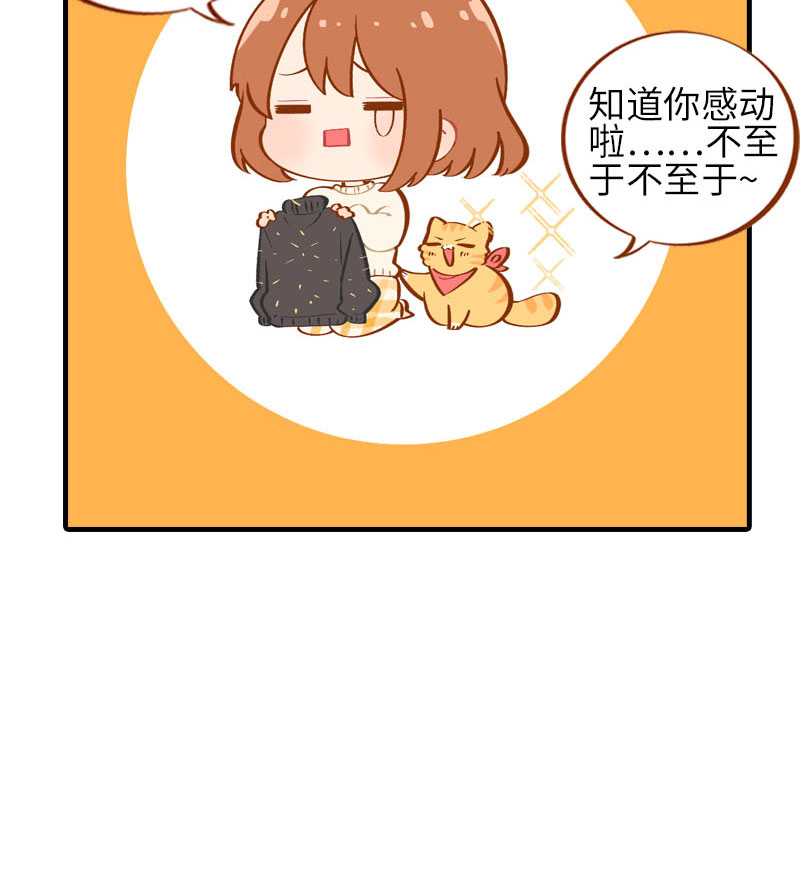 第16话 猫咪的冬季限定-爆毛9