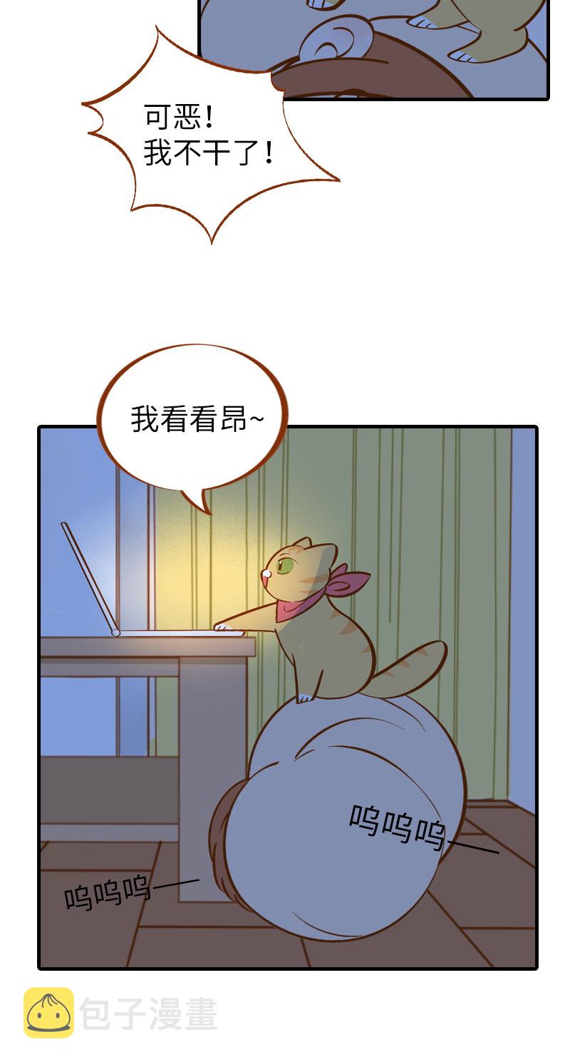 第9话 橘子：甲方克星4
