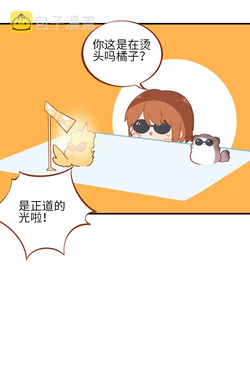 第43话 正道的光7
