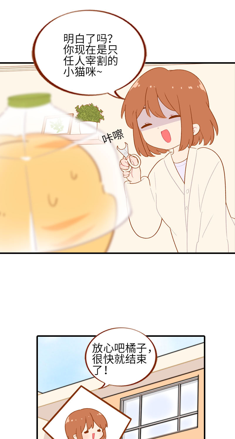 第56话 任人宰割的小猫咪7