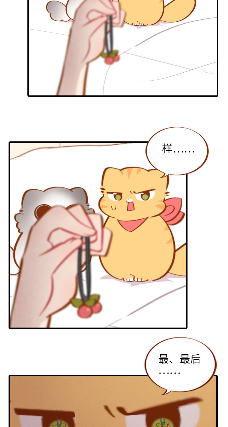 第39话 收手吧阿橘！3