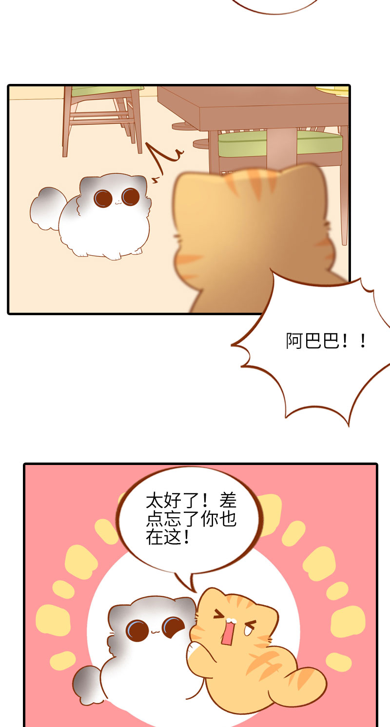第50话 以爲自己被抛弃的橘子2