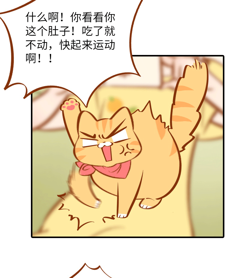 第1话  肚皮肉大作战5