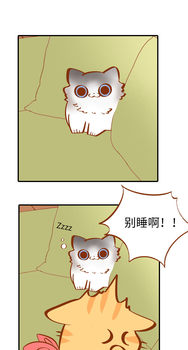 第3话 不是我要吃肉是你吃蔬菜11