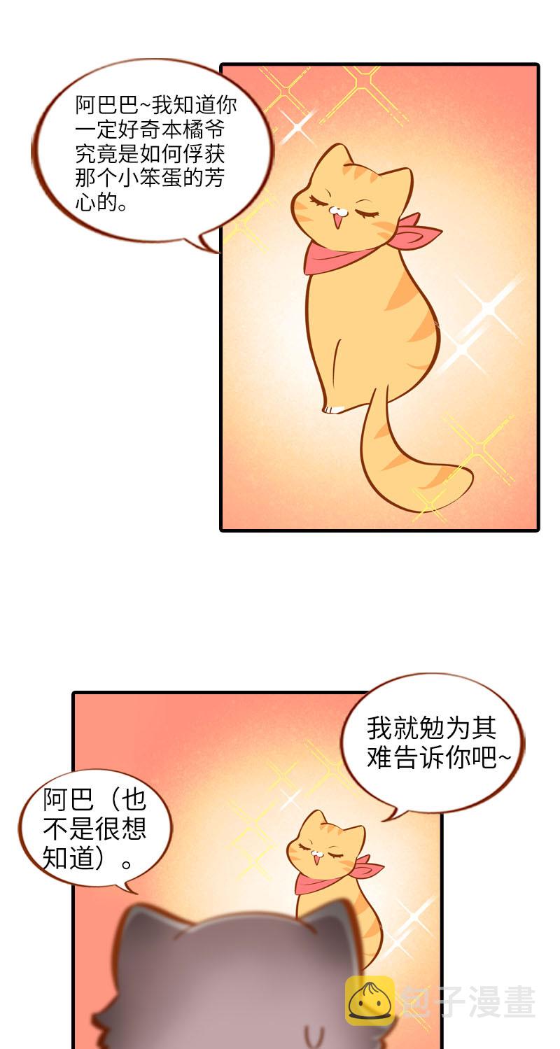 第17话 橘子的自我攻略1