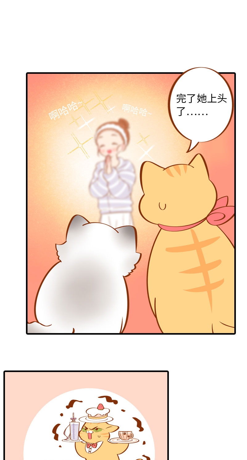 第4话 差点去猫咖打工6