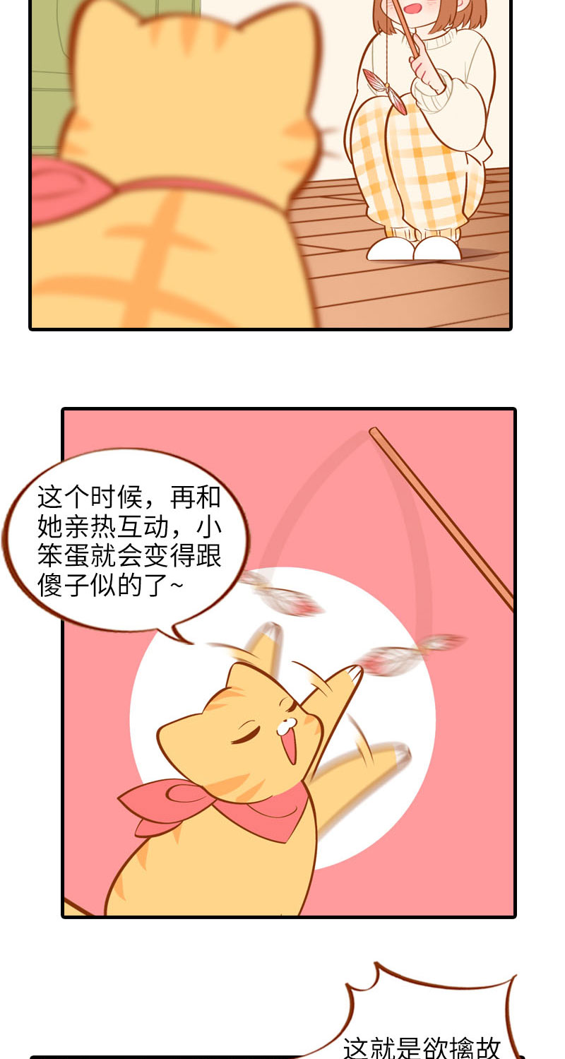 第17话 橘子的自我攻略8