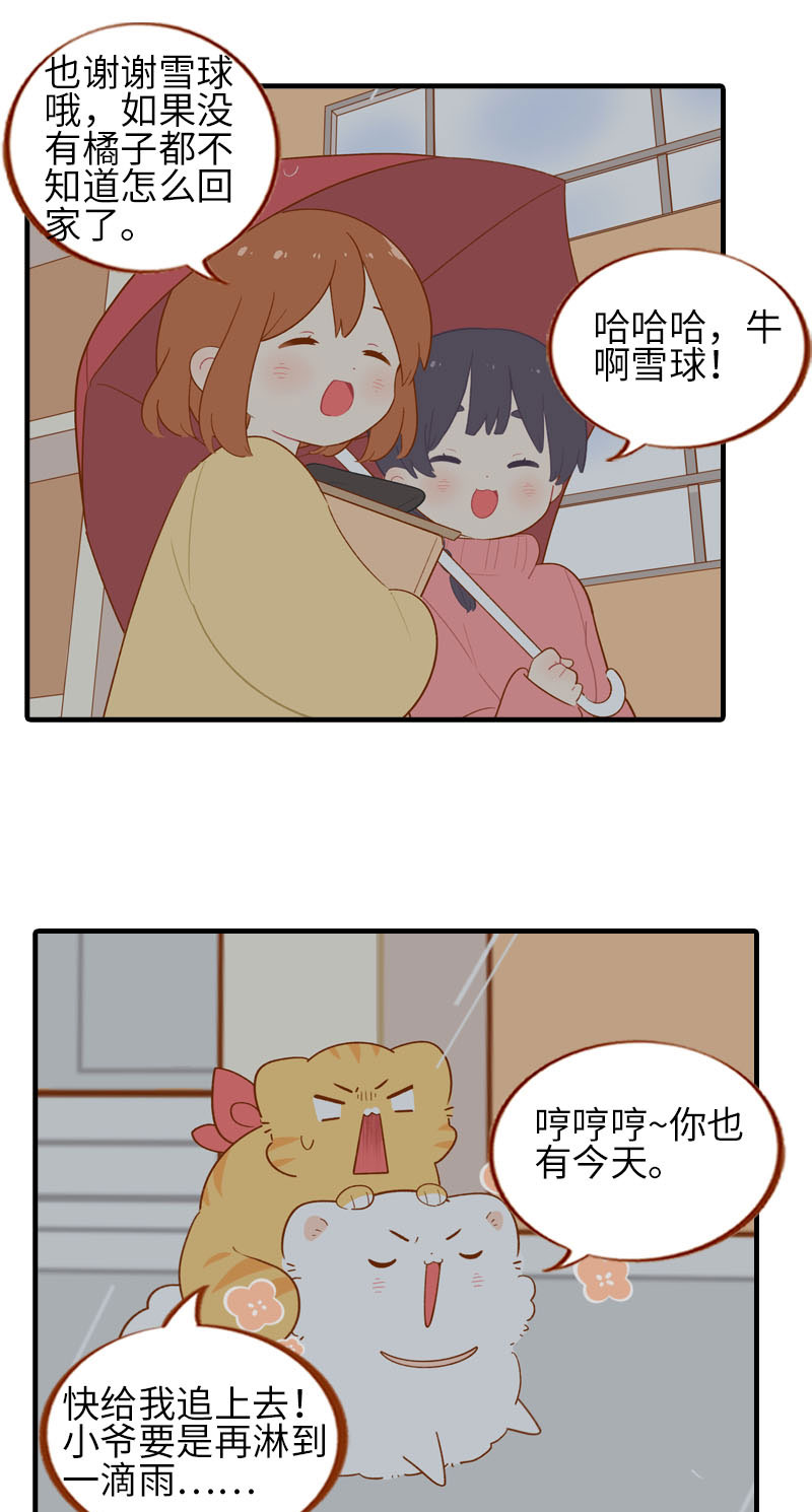 第54话 又是你——雪球！7