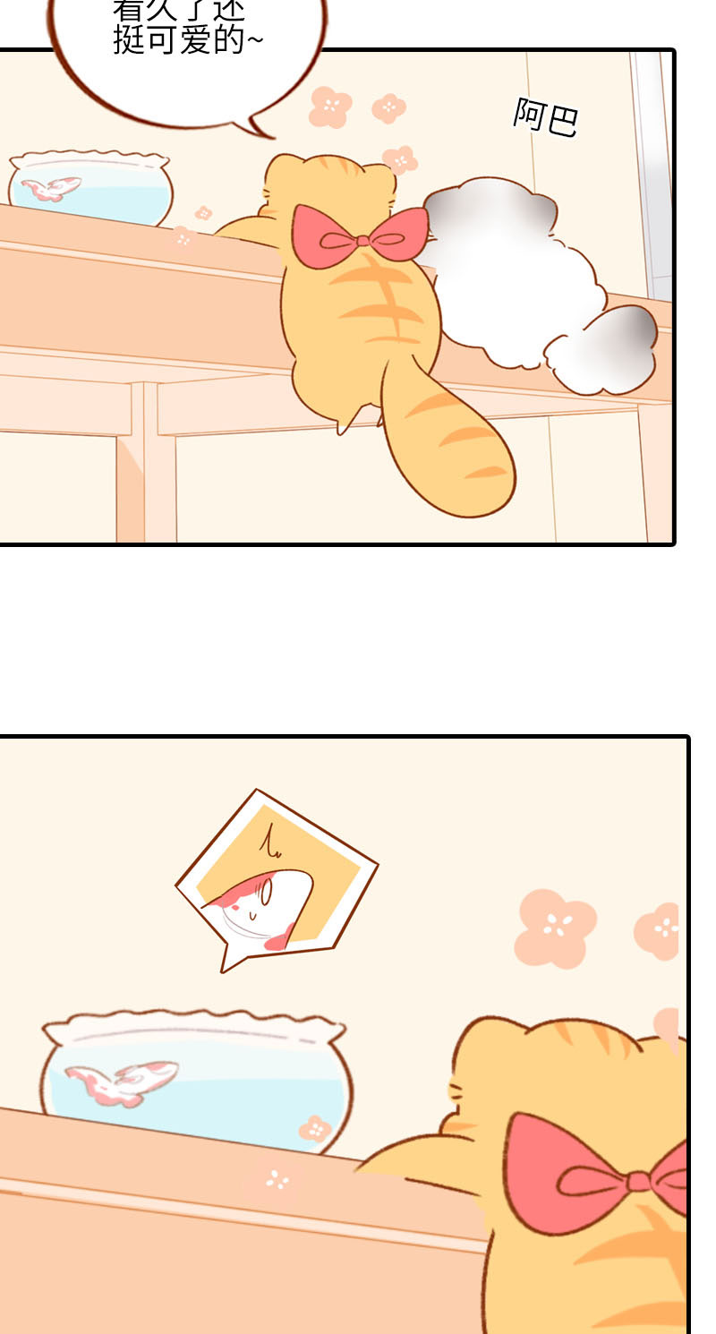 第57话 谁还吃观赏鱼啊~5