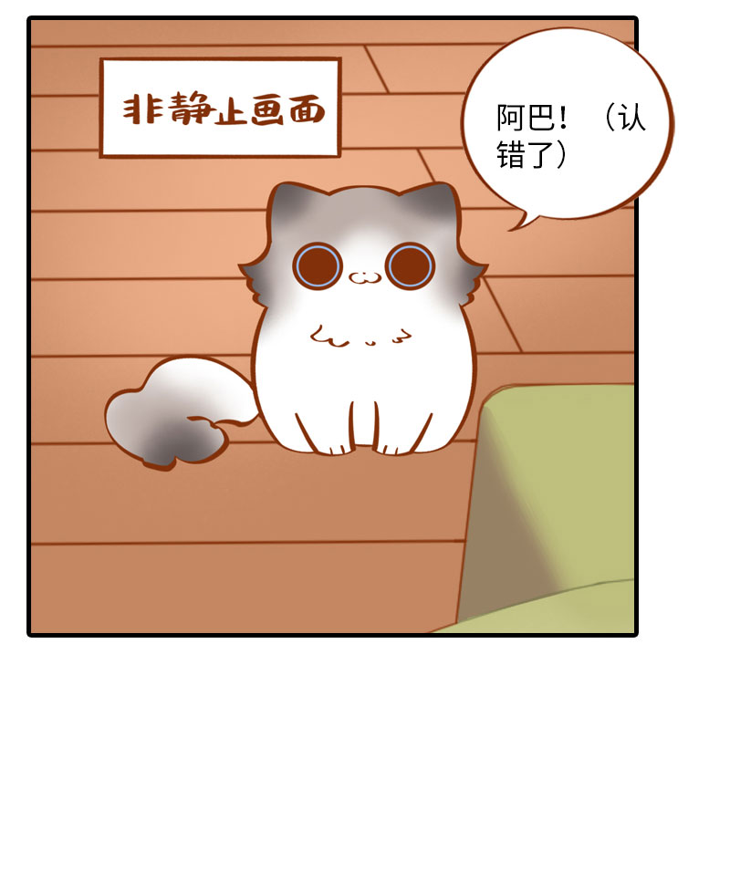 第7话 你认错了吗？5