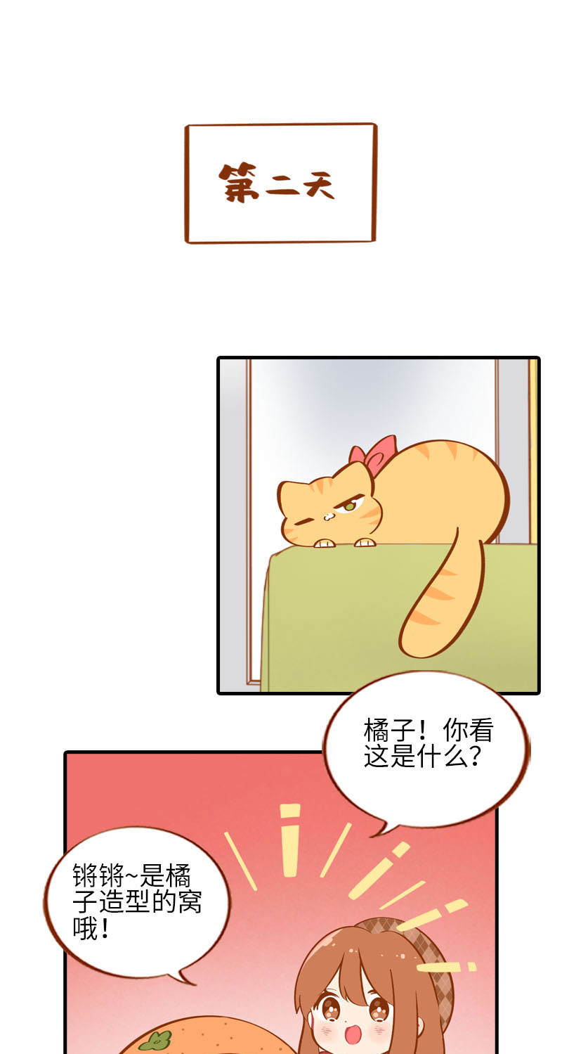 第21话 橘子黑历史7