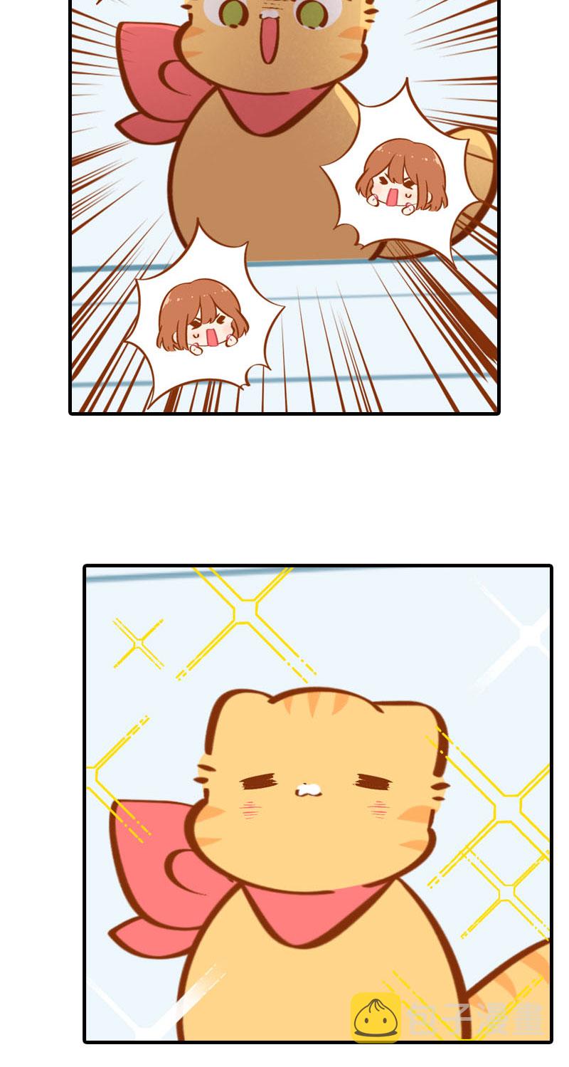 第35话 橘子和阿巴巴的初次见面8