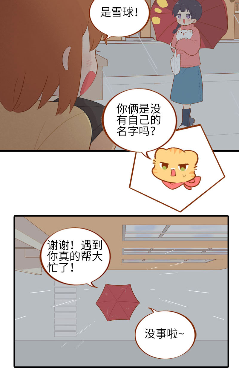 第54话 又是你——雪球！6