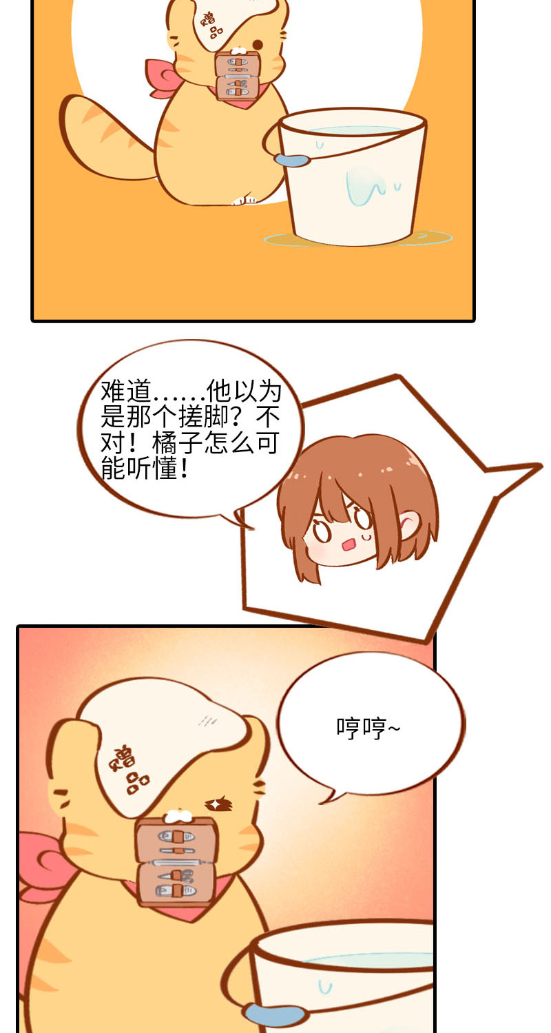 第31话 猫咪搓脚？安排！8