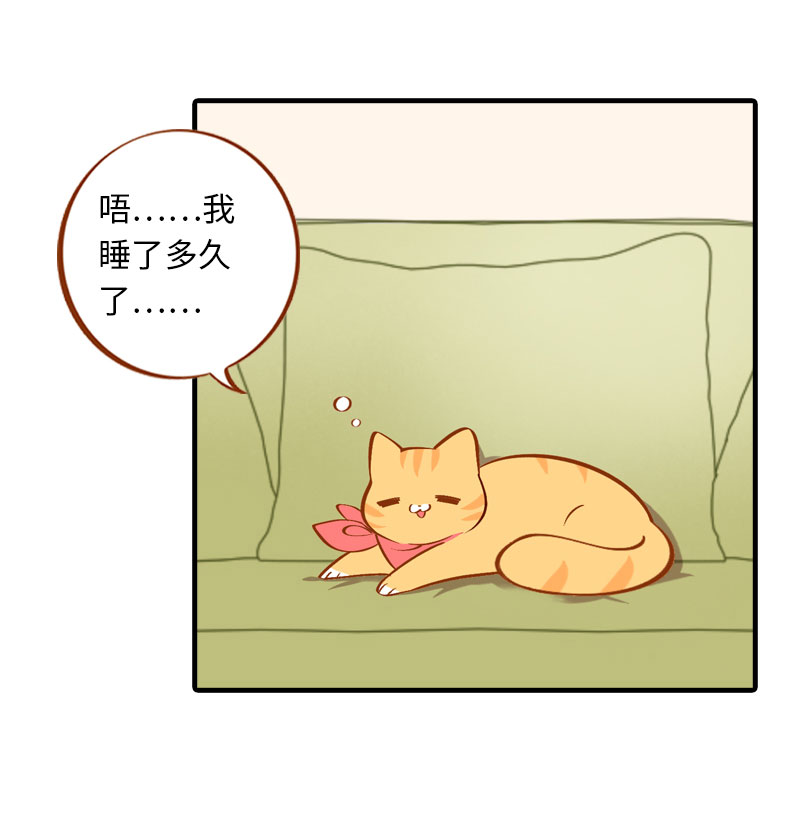 第6话 Tony橘开始洗头10