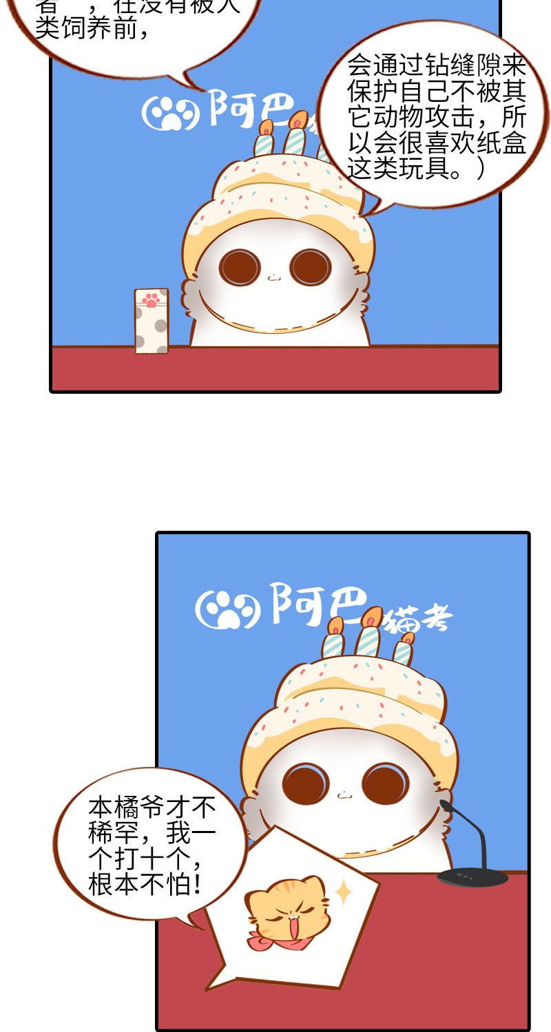 第32话 橘子来拆礼物了！8