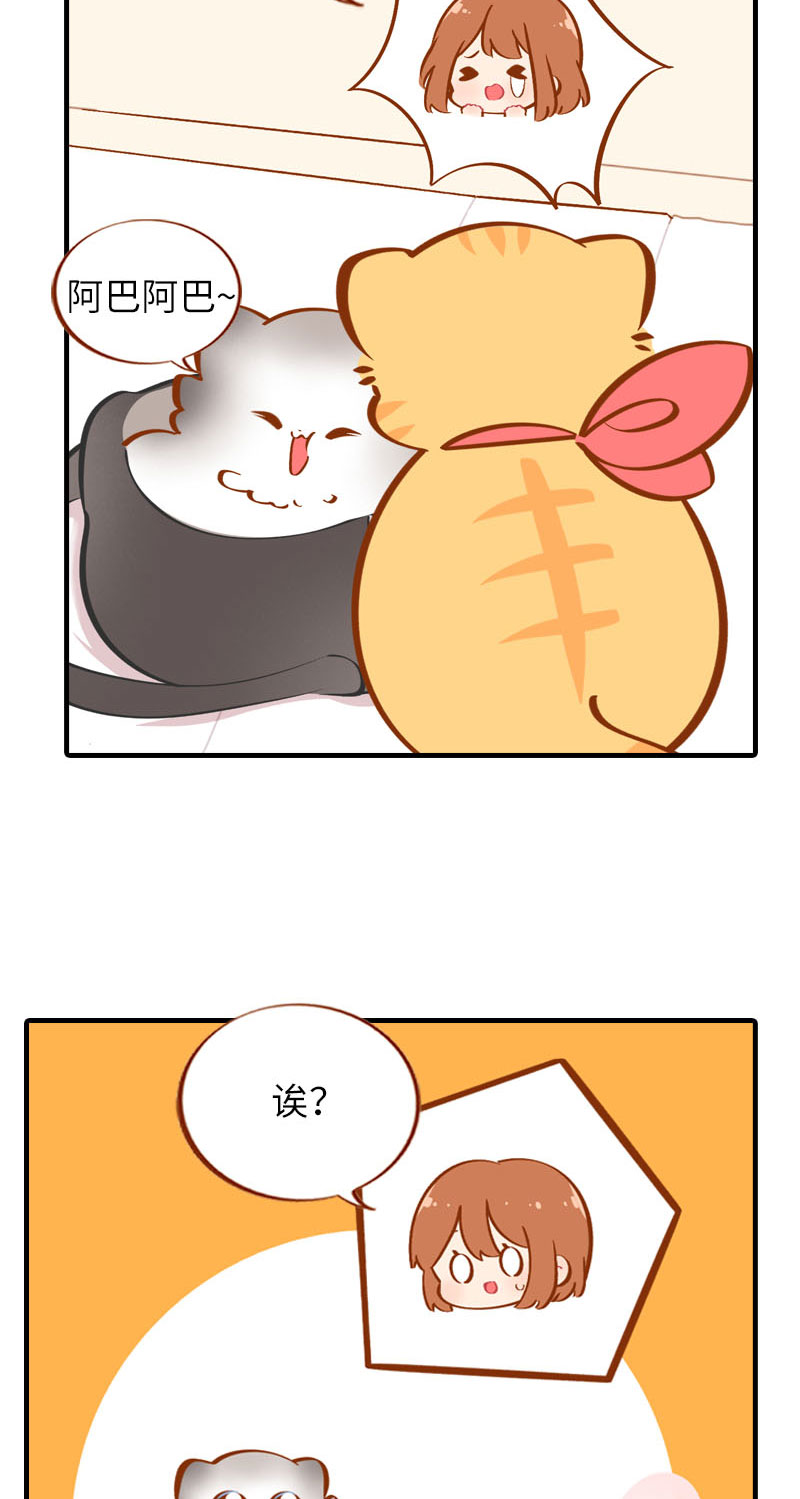 第36话 橘子！地位不保？！8