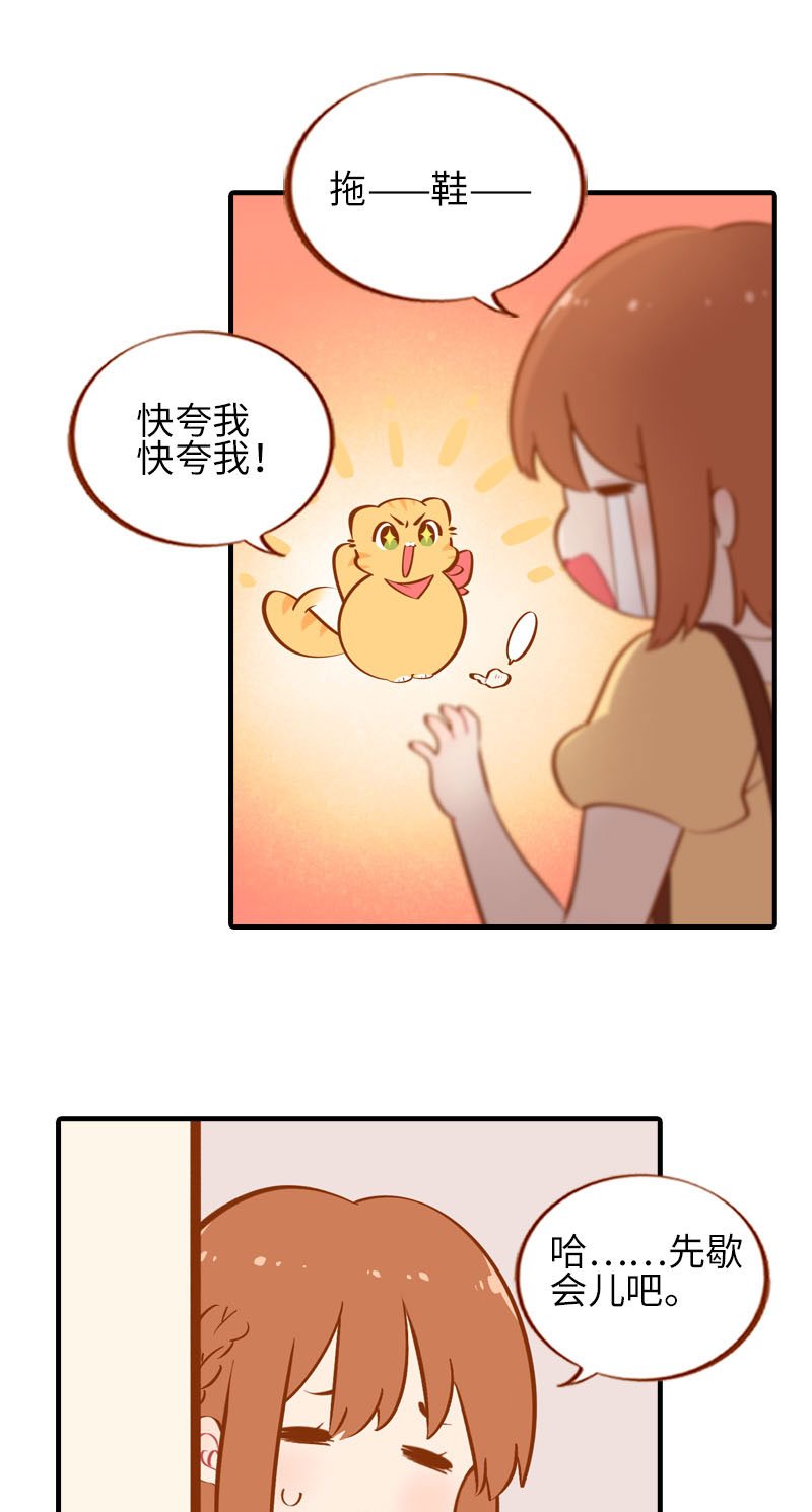 第40话 养狗一日体验7
