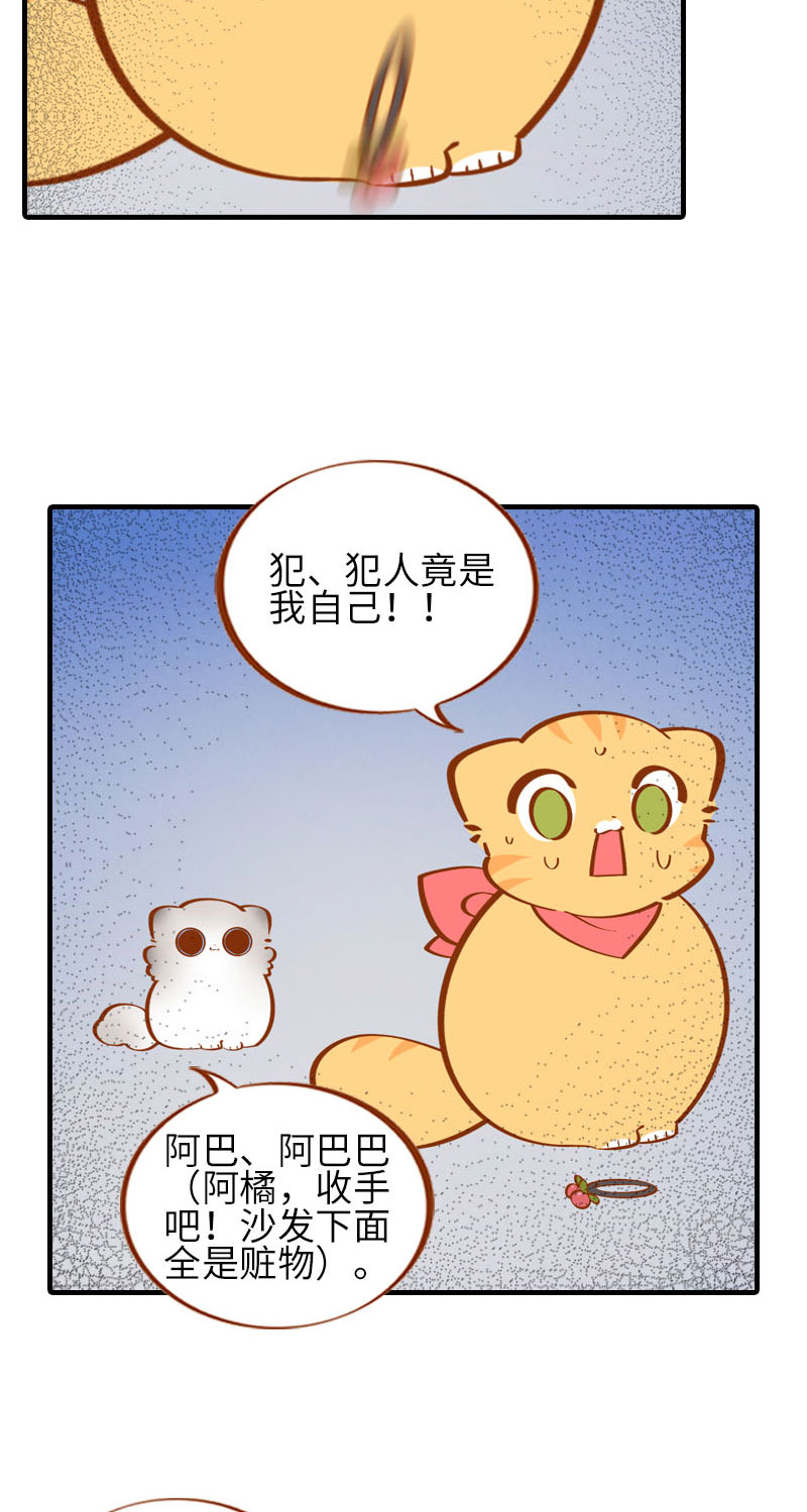 第39话 收手吧阿橘！8