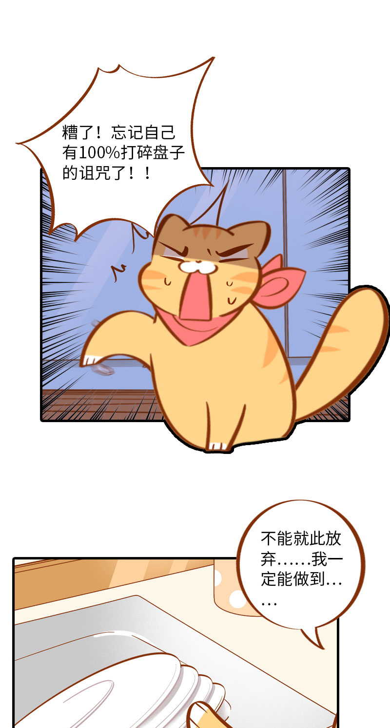 第4话 差点去猫咖打工11