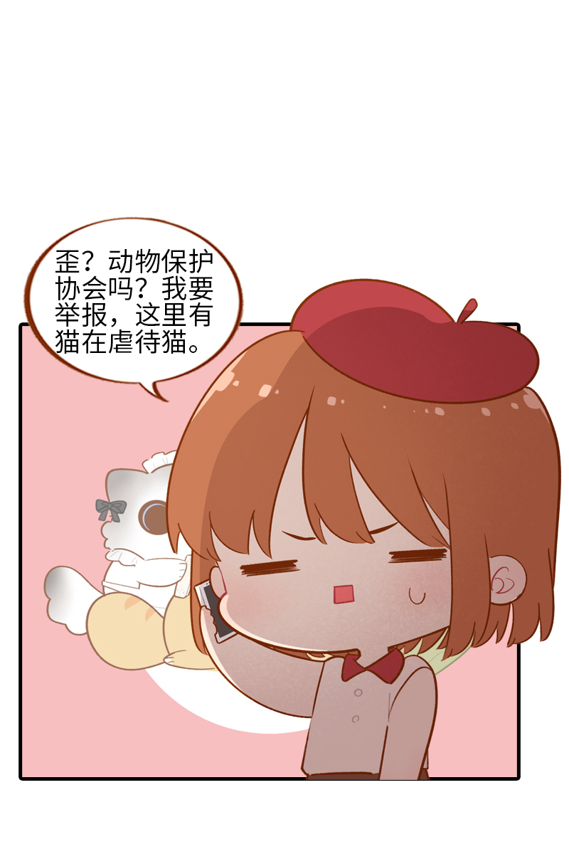 第44话 猫咪的幸福生活（现象中）7