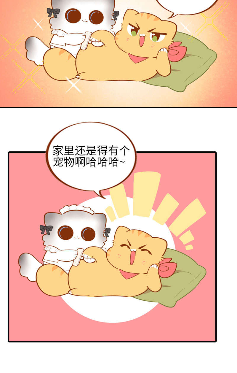 第44话 猫咪的幸福生活（现象中）6