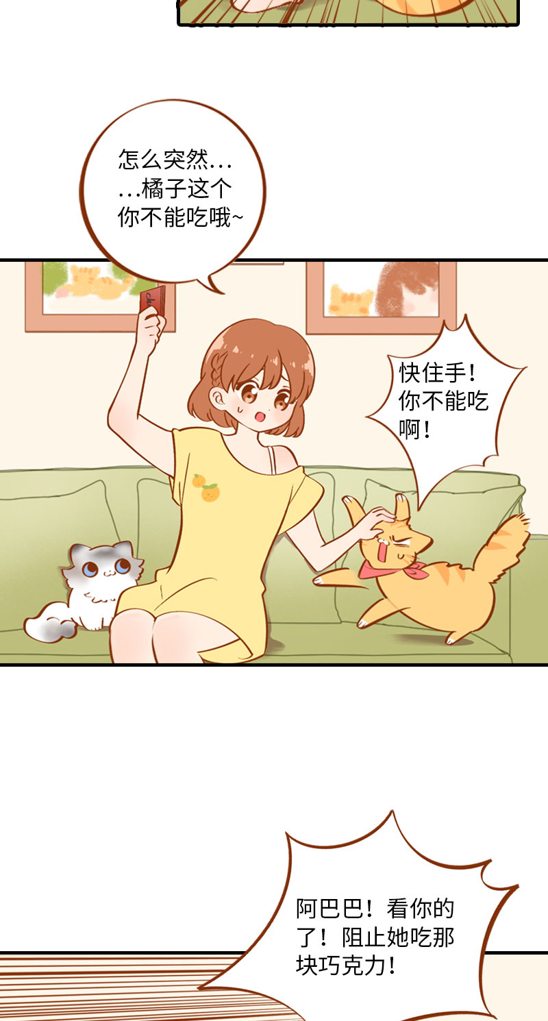 第3话 不是我要吃肉是你吃蔬菜9