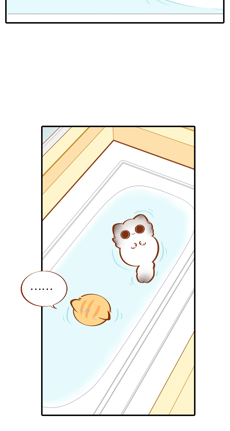 第30话 一年一度洗澡日9