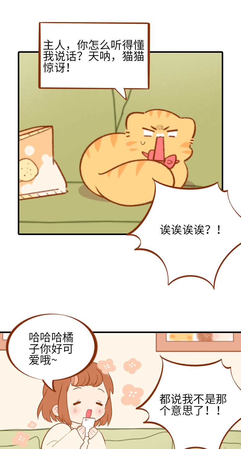 第53话 猫咪翻译机7