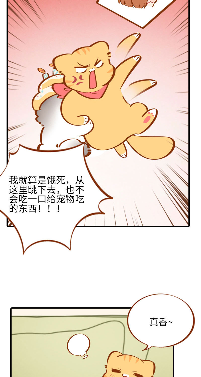 第33话 许个愿吧~9