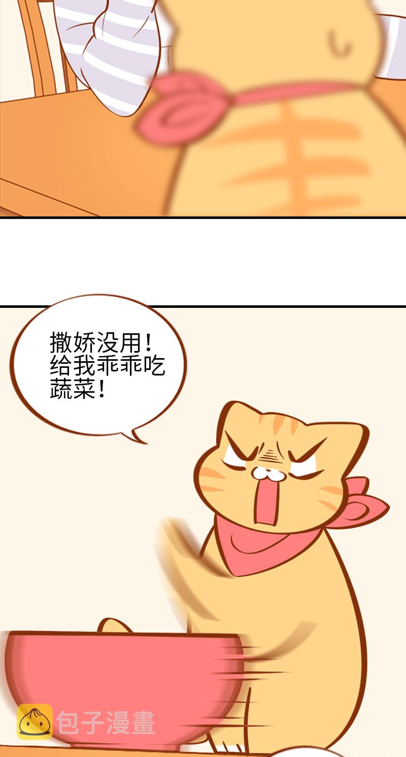 第2话 不是我要吃肉是你吃蔬菜9