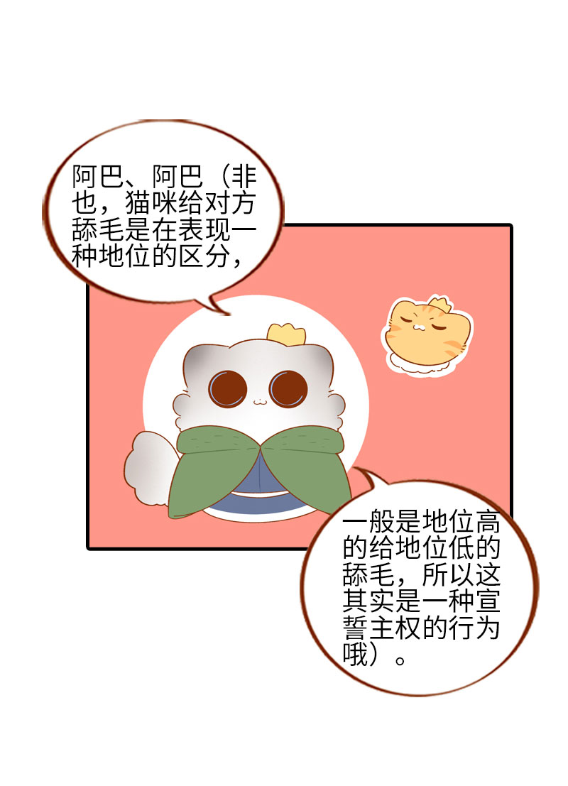 第55话 短腿团子来家做客！9