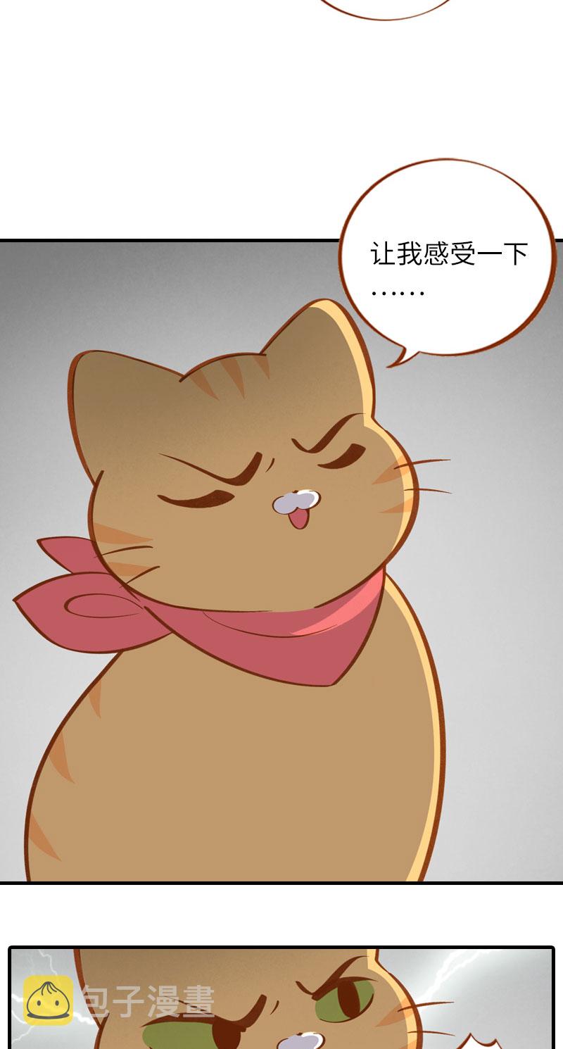 第10话 名侦探橘子2