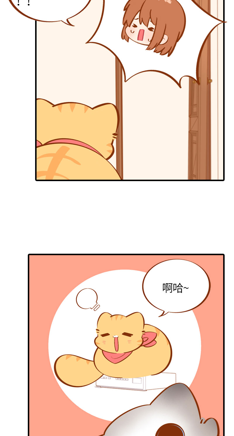 第26话 活体信号屏蔽器5