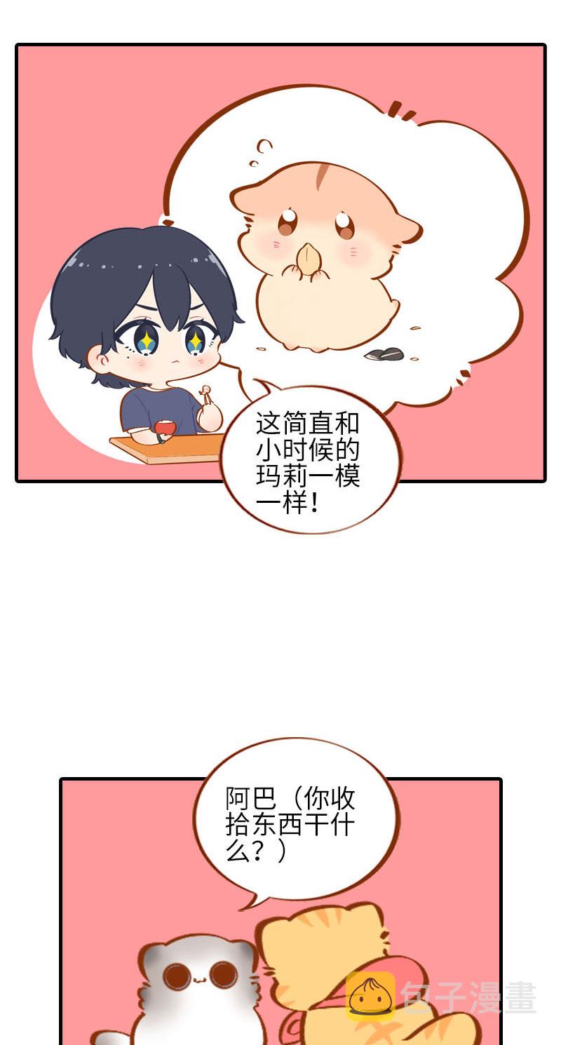 第41话 我失宠了我要离家出走！8