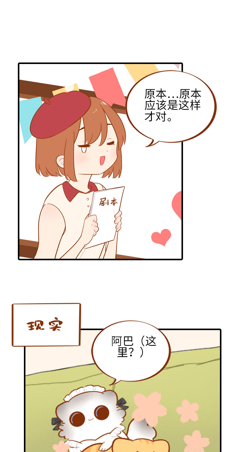 第44话 猫咪的幸福生活（现象中）4