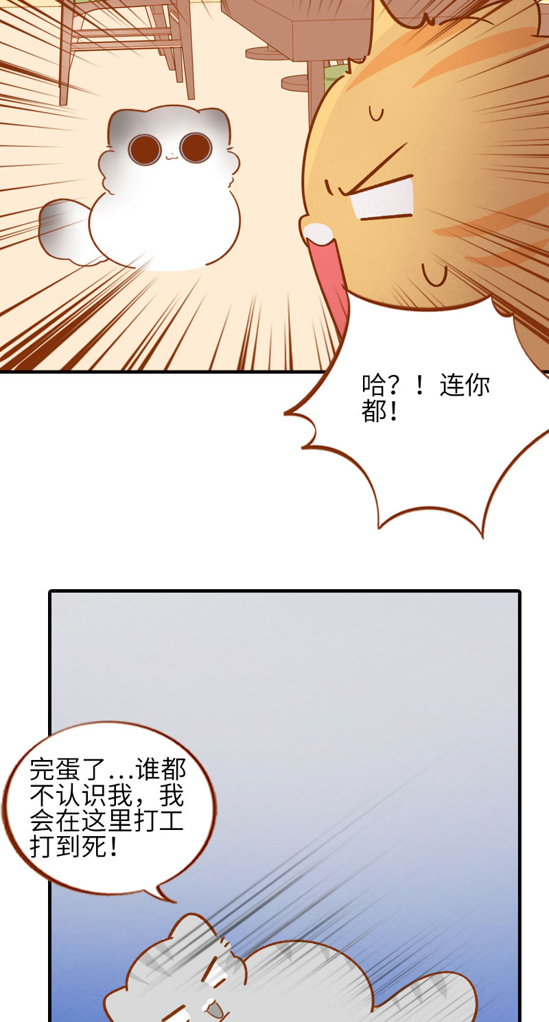 第50话 以爲自己被抛弃的橘子5