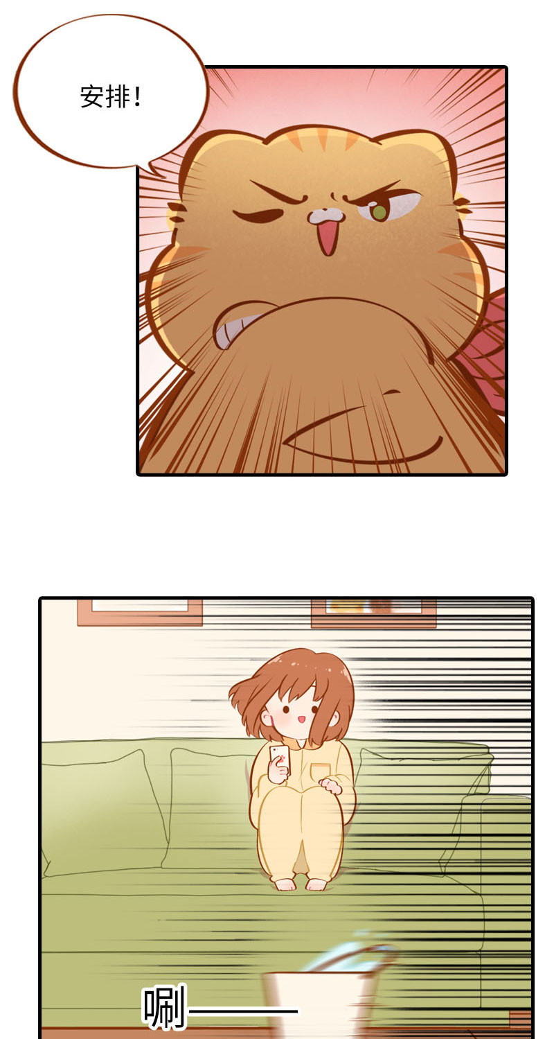 第31话 猫咪搓脚？安排！3