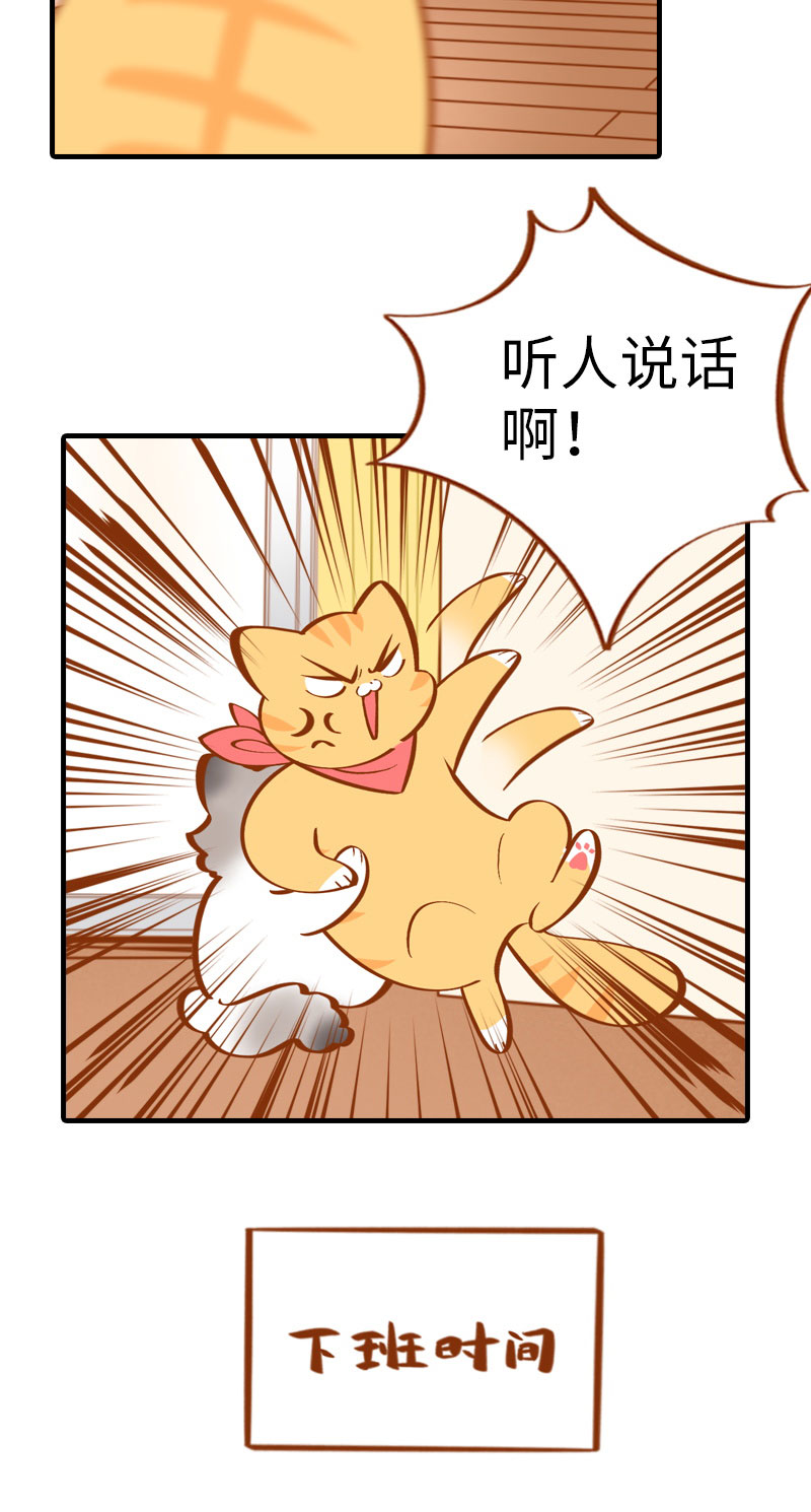 第10话 名侦探橘子5