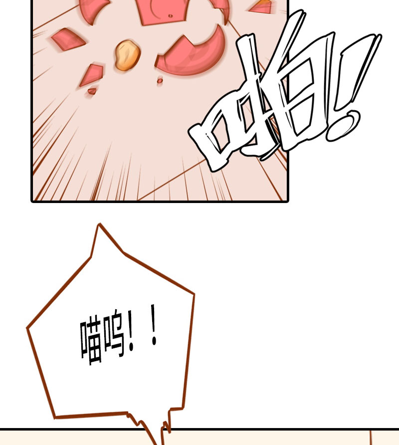 第2话 不是我要吃肉是你吃蔬菜14