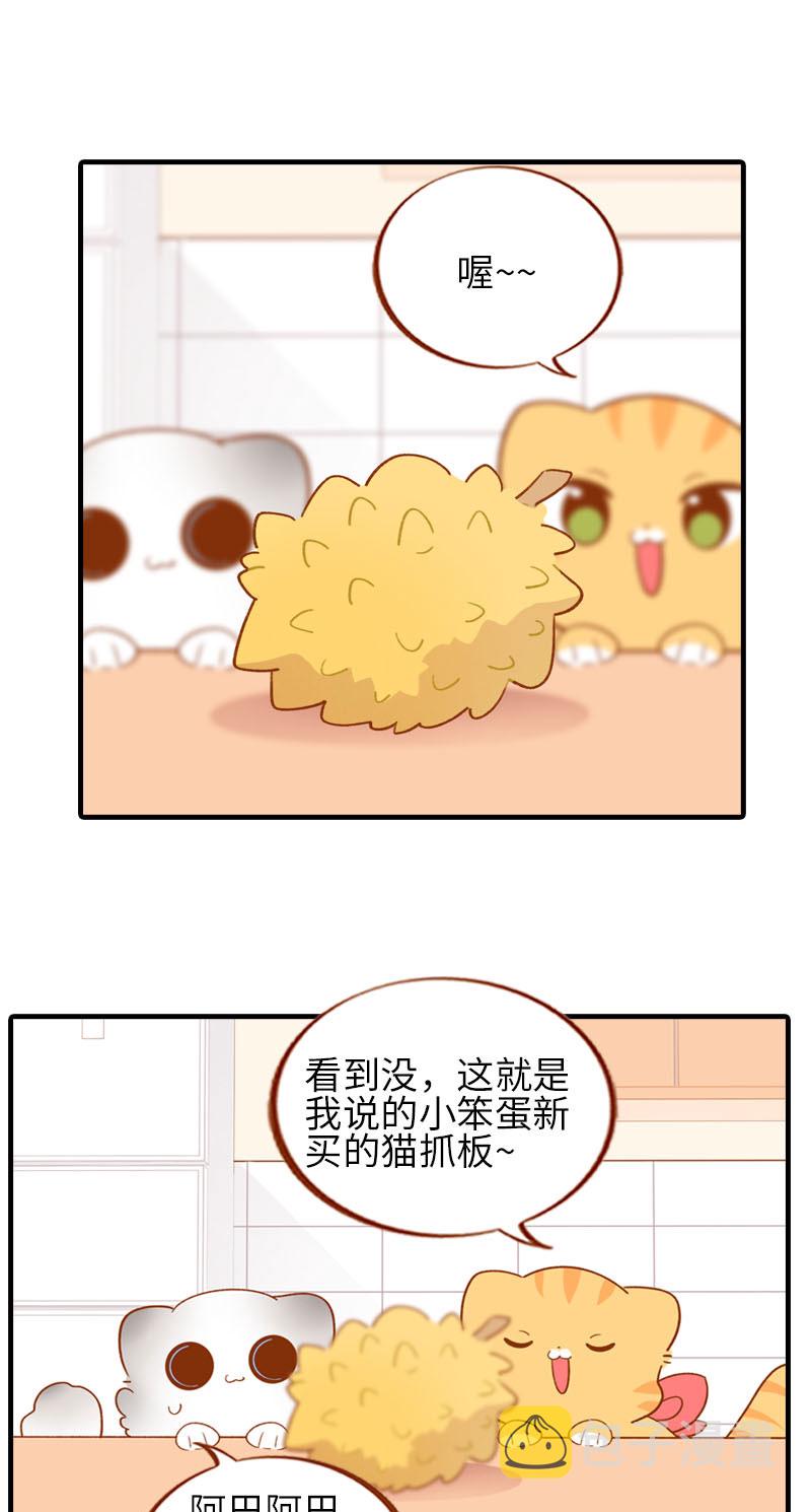 第59话 来口榴莲1