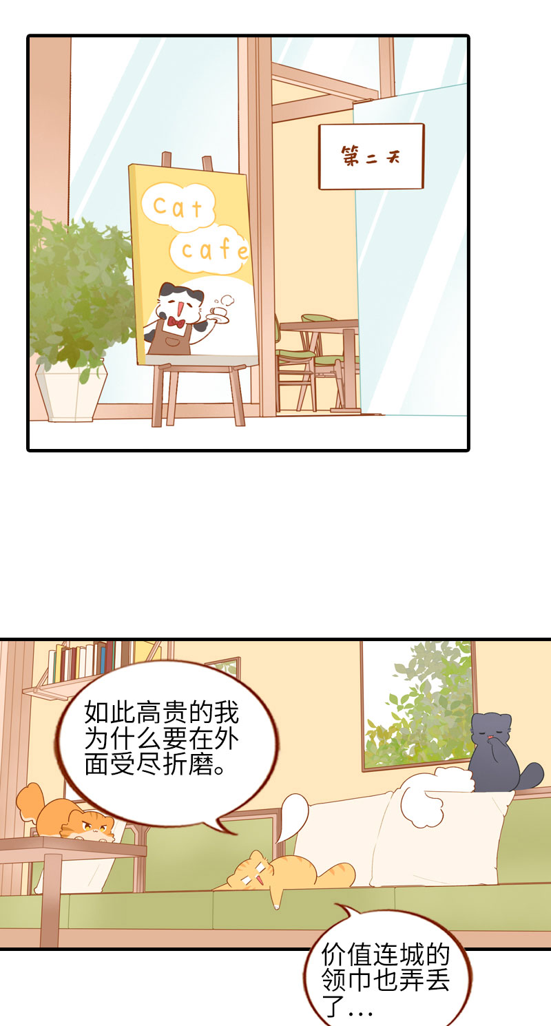 第50话 以爲自己被抛弃的橘子1