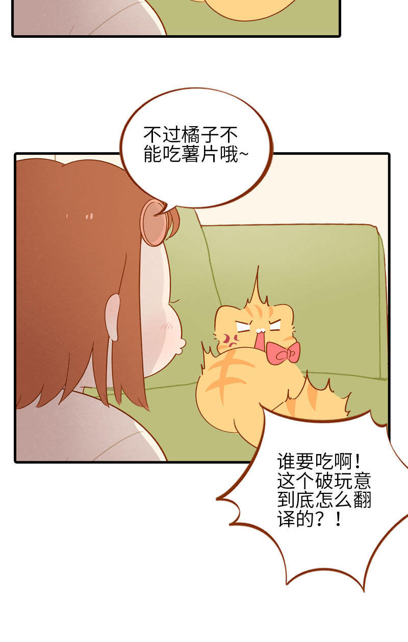 第53话 猫咪翻译机6