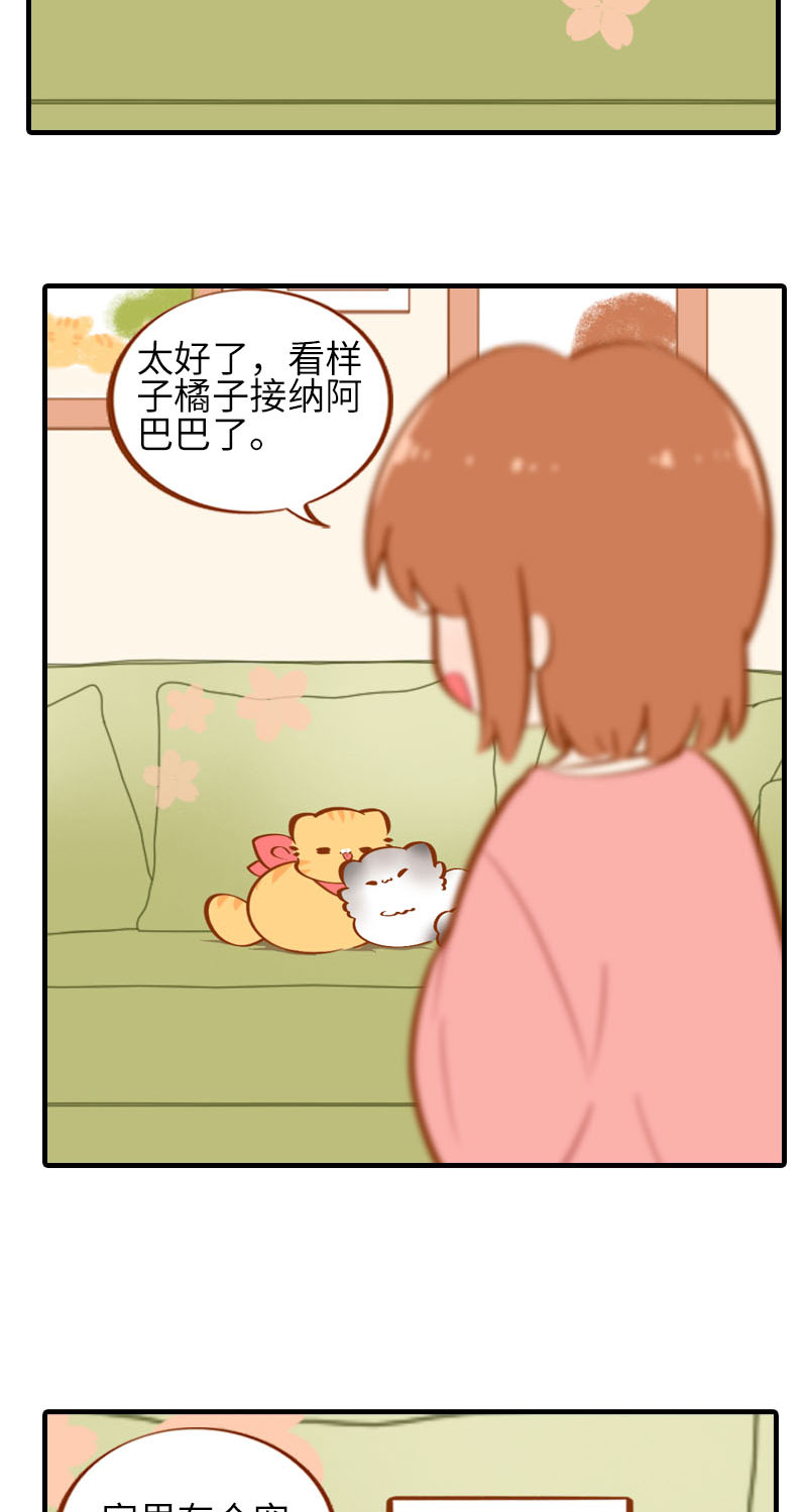 第36话 橘子！地位不保？！10