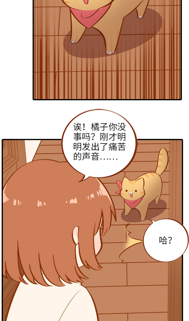 第13话 橘子呼噜呼噜9
