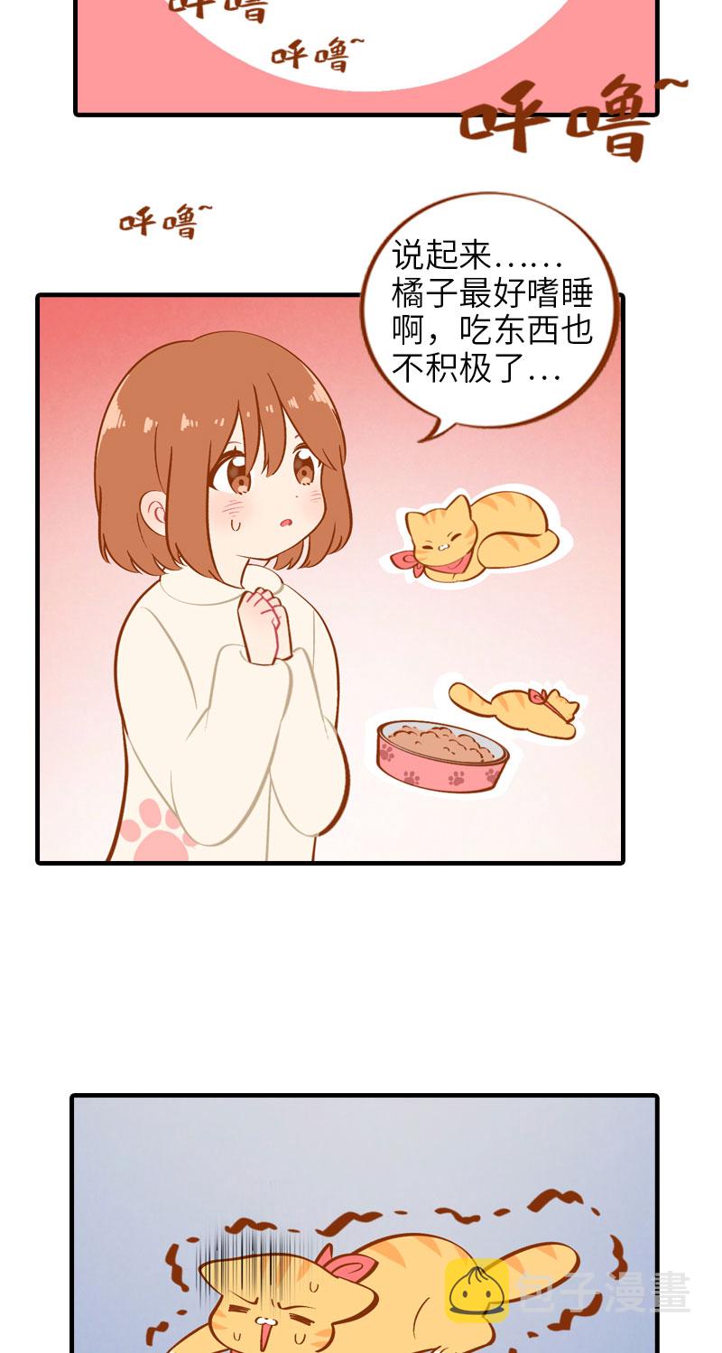 第13话 橘子呼噜呼噜2