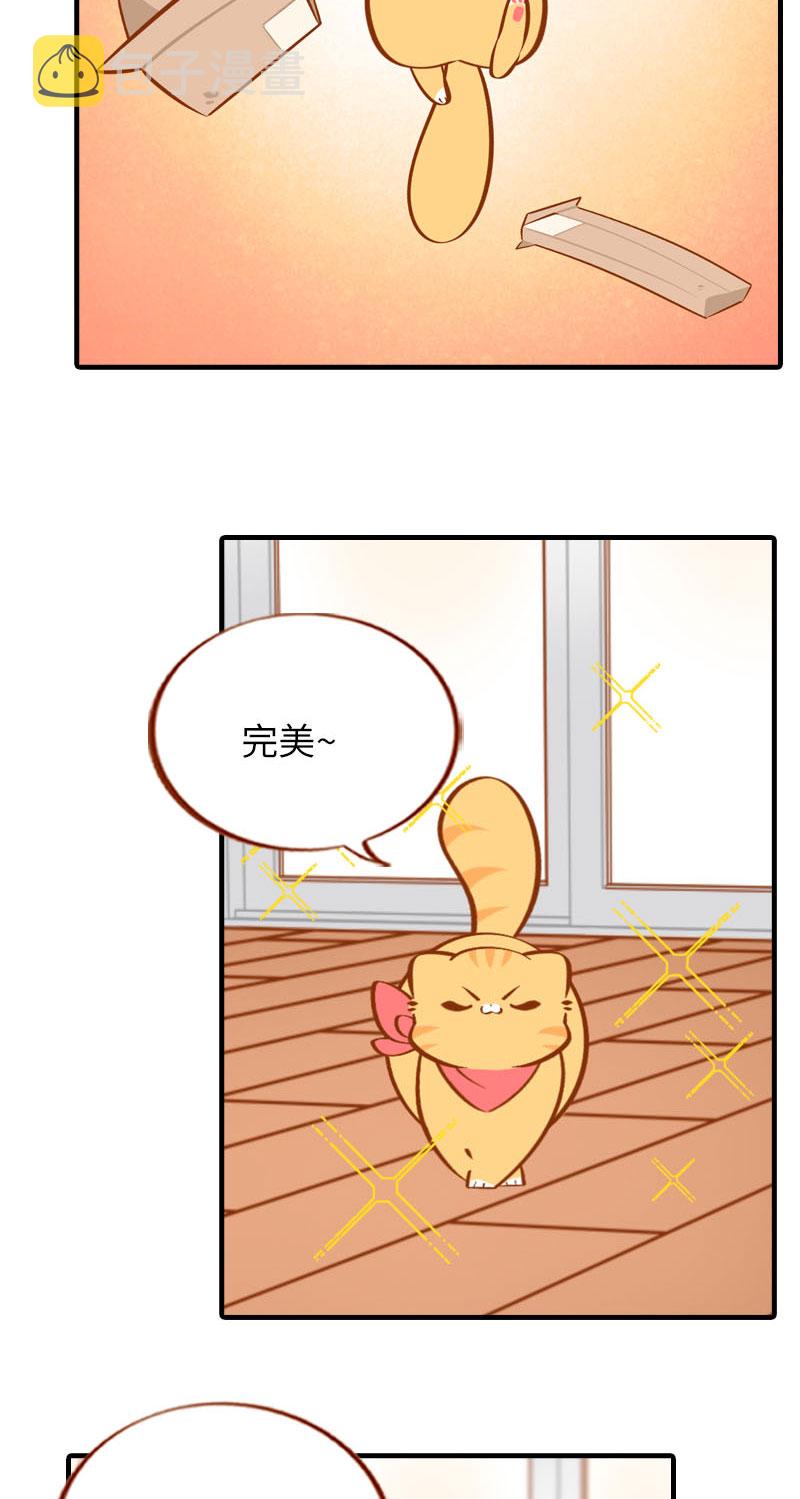 第37话 最没排面的男主人8