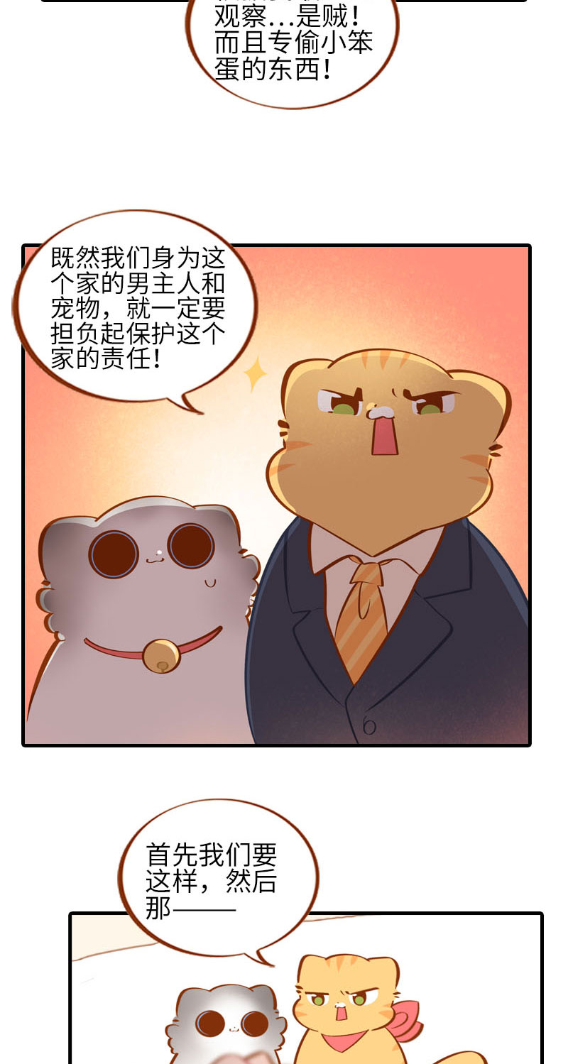 第39话 收手吧阿橘！2